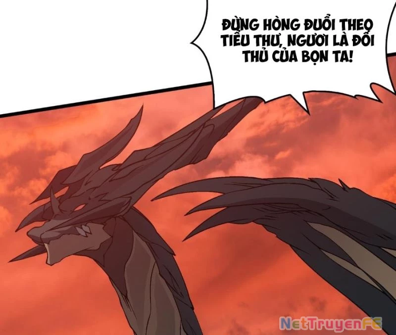 Bắt Đầu Kế Nhiệm Boss Hắc Long, Ta Vô Địch Chapter 31 - Trang 4