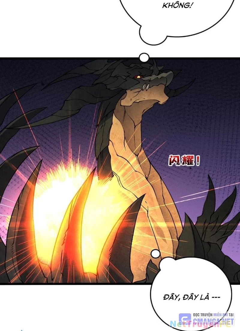 Bắt Đầu Kế Nhiệm Boss Hắc Long, Ta Vô Địch Chapter 32 - Trang 4