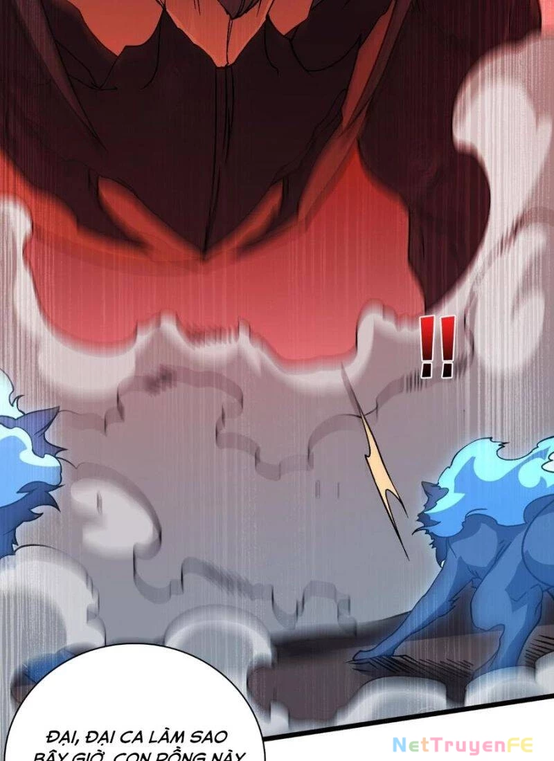 Bắt Đầu Kế Nhiệm Boss Hắc Long, Ta Vô Địch Chapter 33 - Trang 4