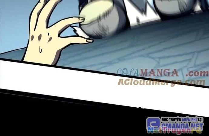 Ta Nhặt Rác Thượng Vương Giả Chapter 24 - Trang 3