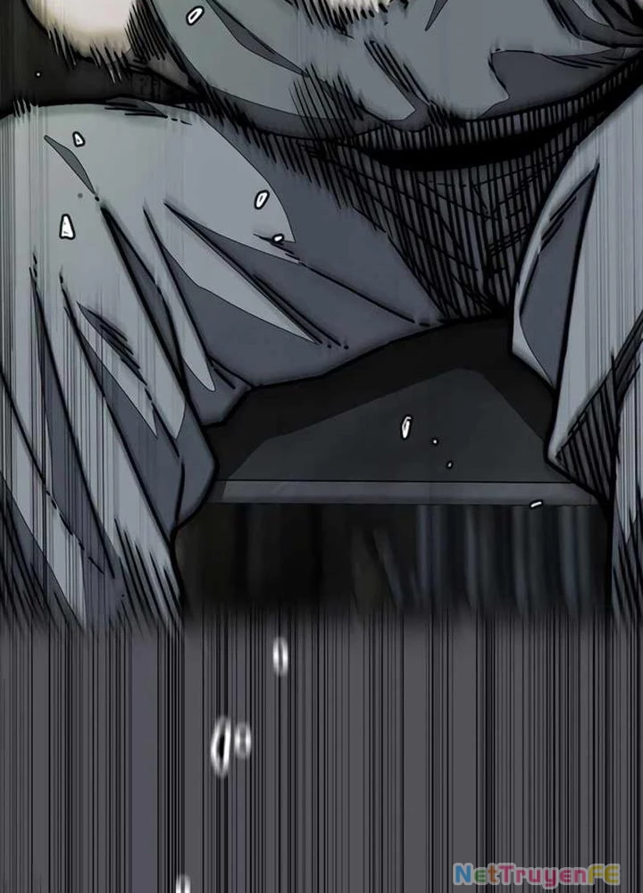 Thể Thao Cực Hạn Chapter 516 - Trang 4