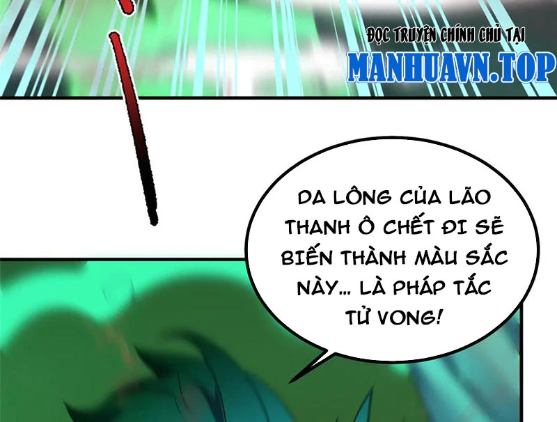 Thần Sủng Tiến Hóa Chapter 343 - Trang 4
