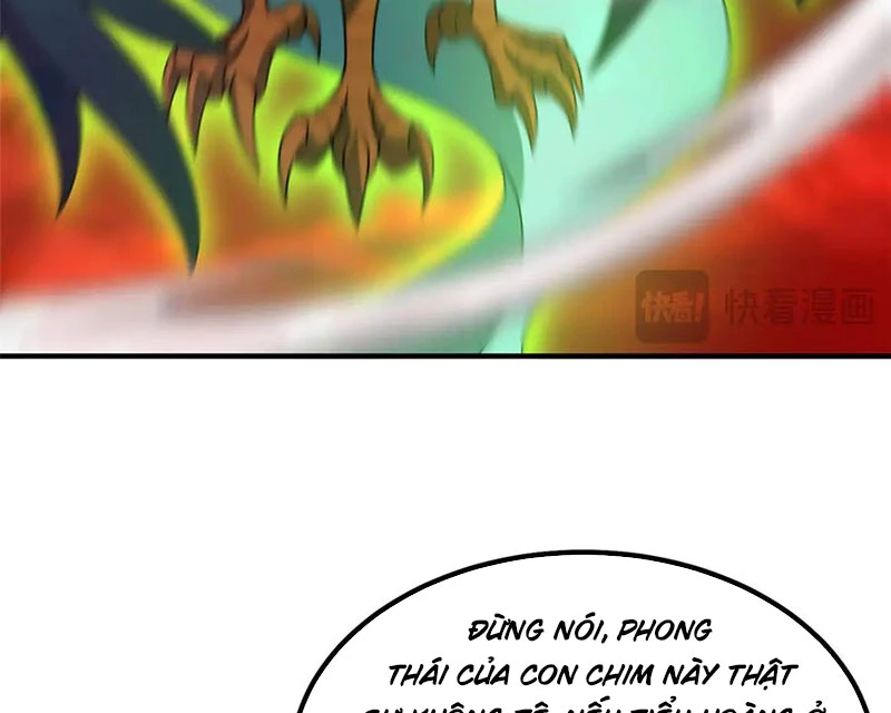 Thần Sủng Tiến Hóa Chapter 343 - Trang 4