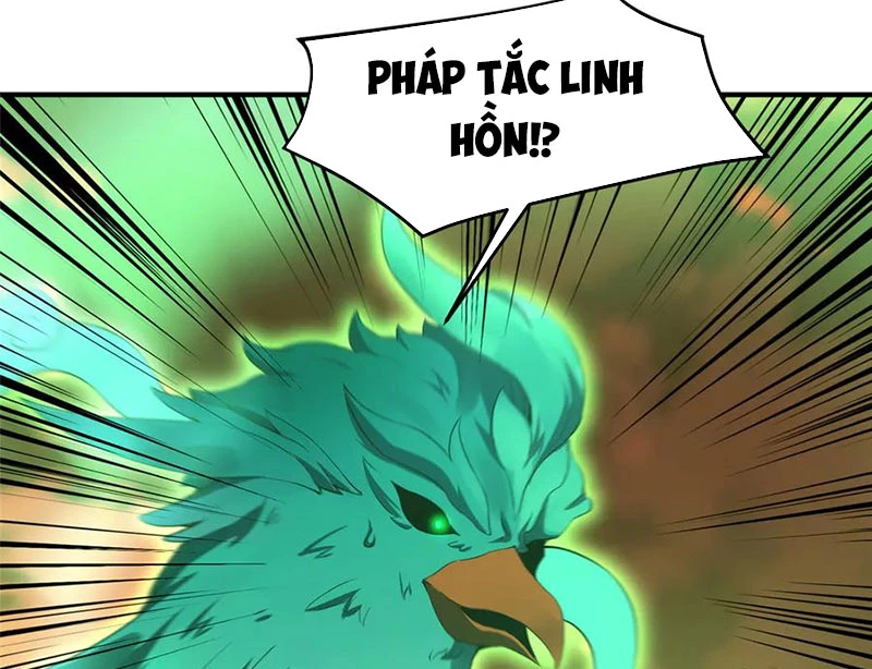 Thần Sủng Tiến Hóa Chapter 343 - Trang 4