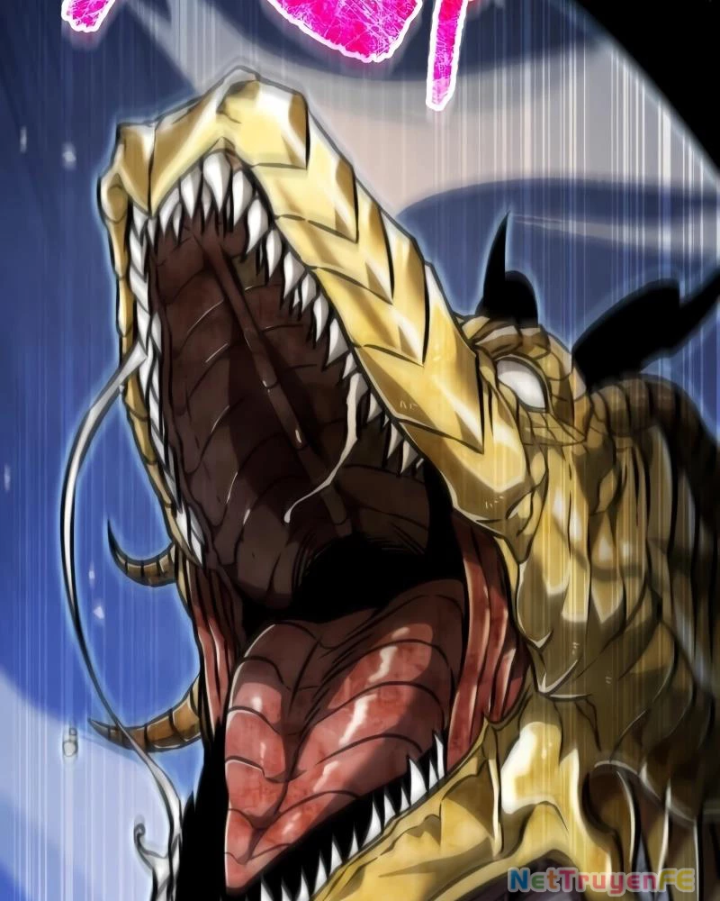 Chiến Binh Hồi Quy Chapter 44 - Trang 4