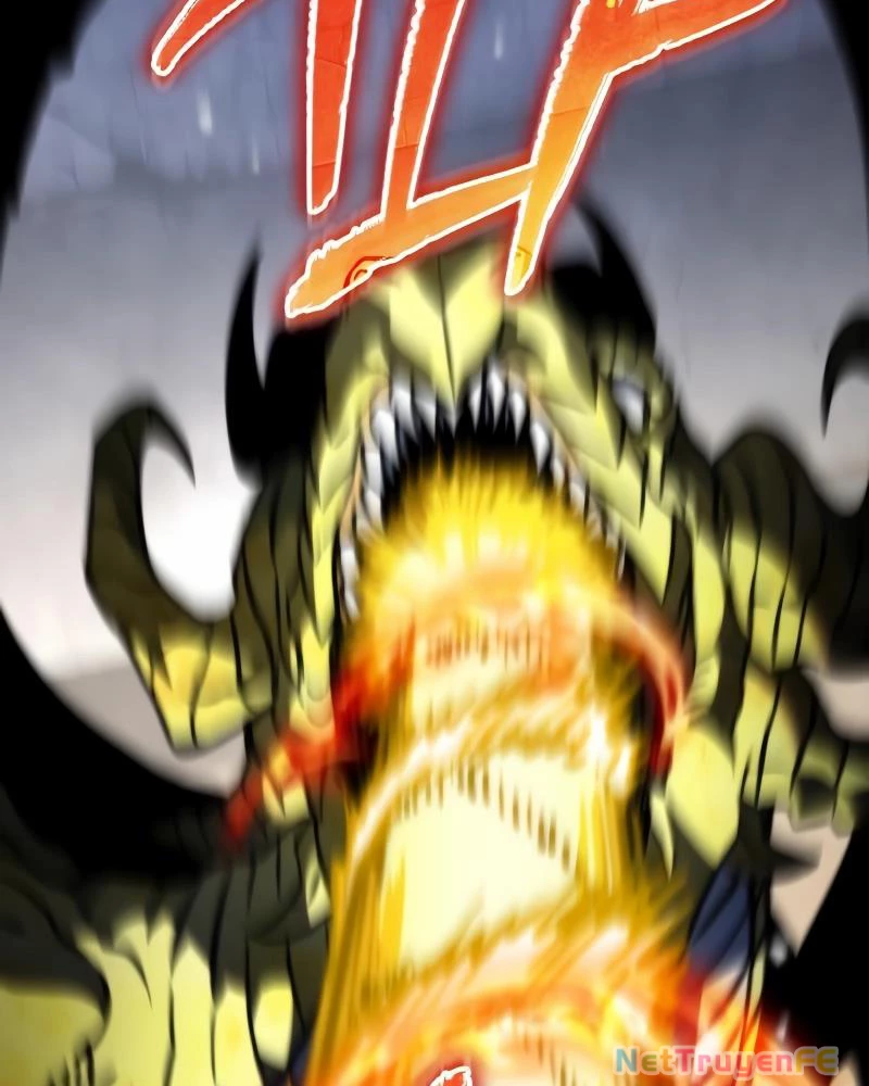 Chiến Binh Hồi Quy Chapter 44 - Trang 4