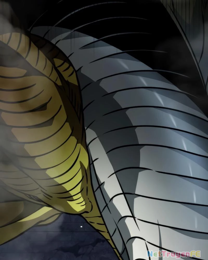 Chiến Binh Hồi Quy Chapter 44 - Trang 4