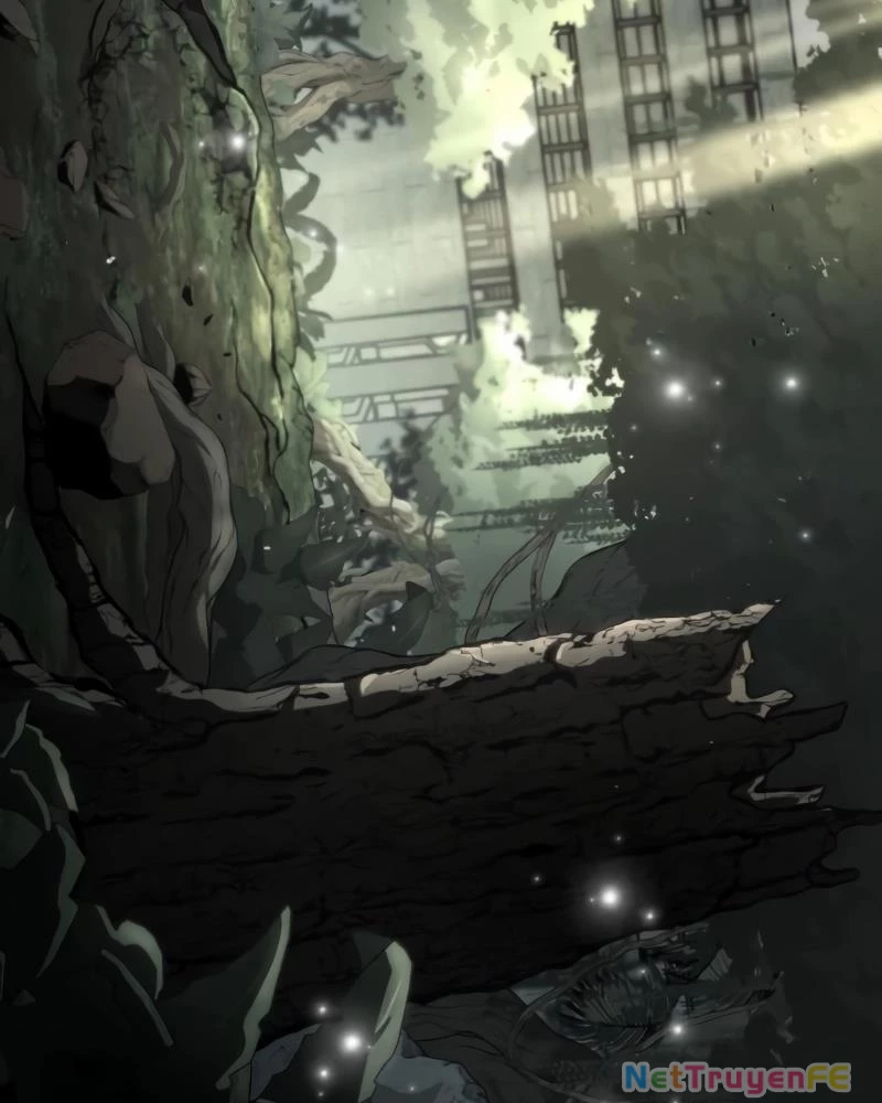 Chiến Binh Hồi Quy Chapter 44 - Trang 4