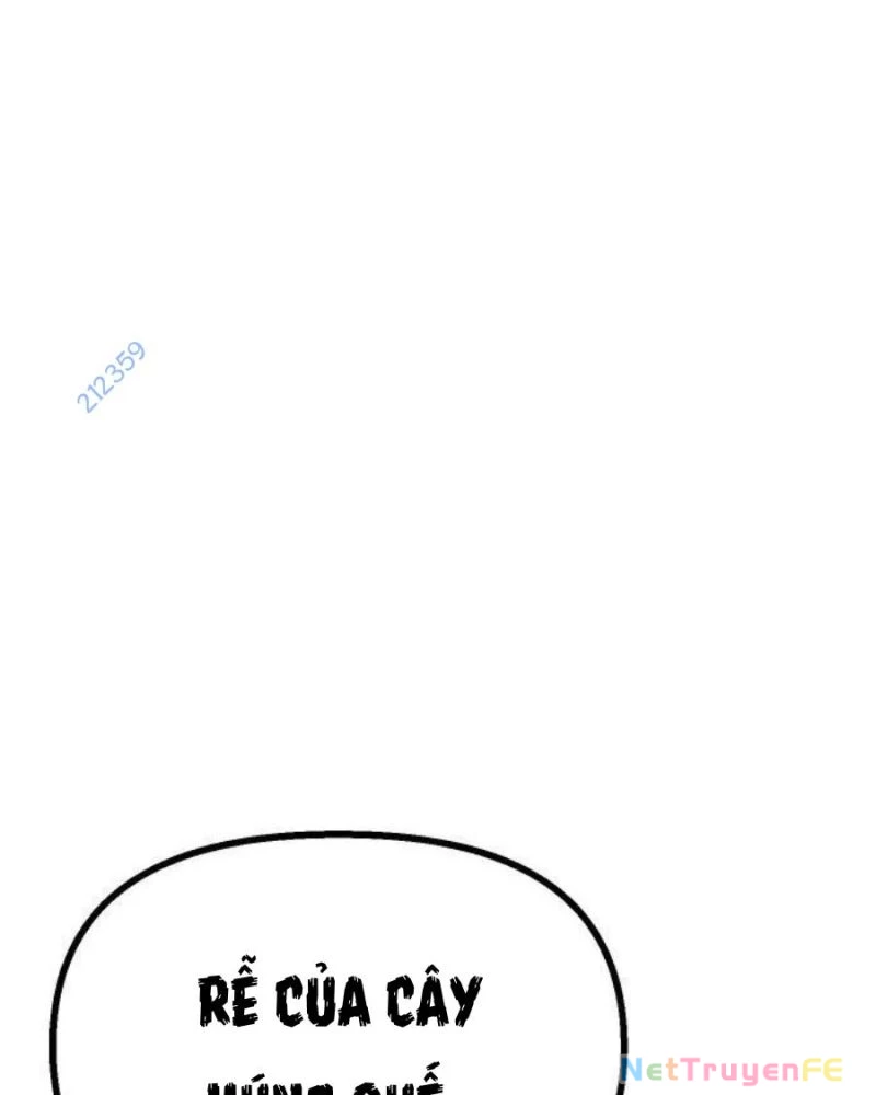 Chinh Phục Võ Lâm Chỉ Với 1 Tô Mỳ Chapter 16 - Trang 4