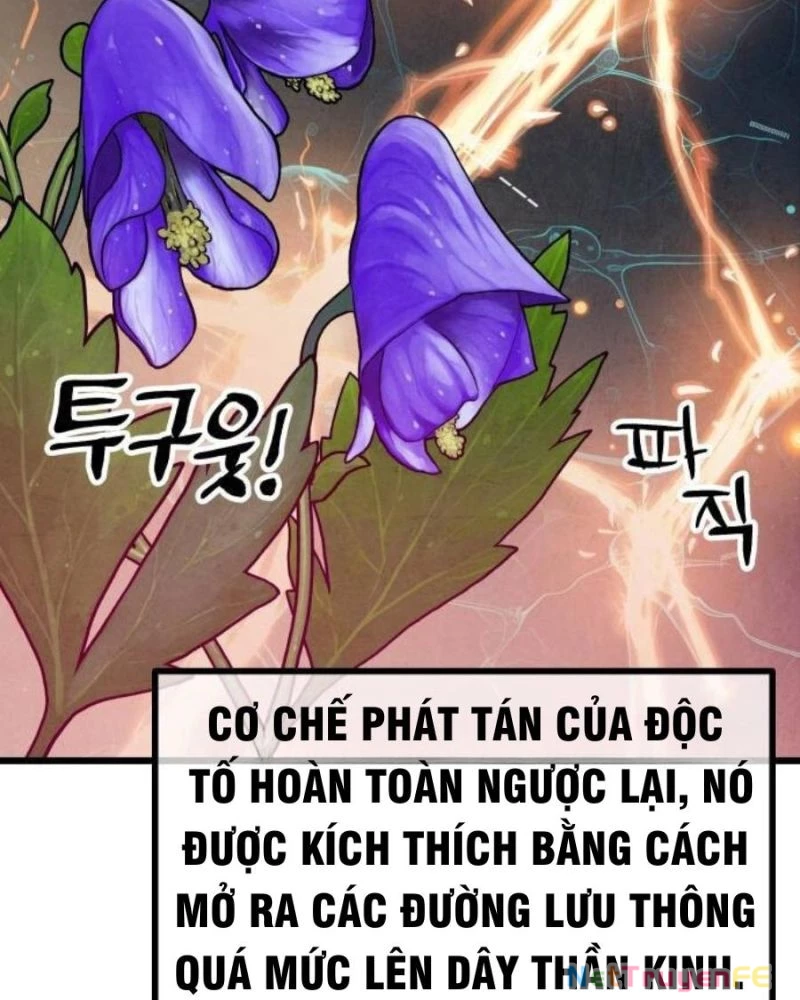 Chinh Phục Võ Lâm Chỉ Với 1 Tô Mỳ Chapter 16 - Trang 4