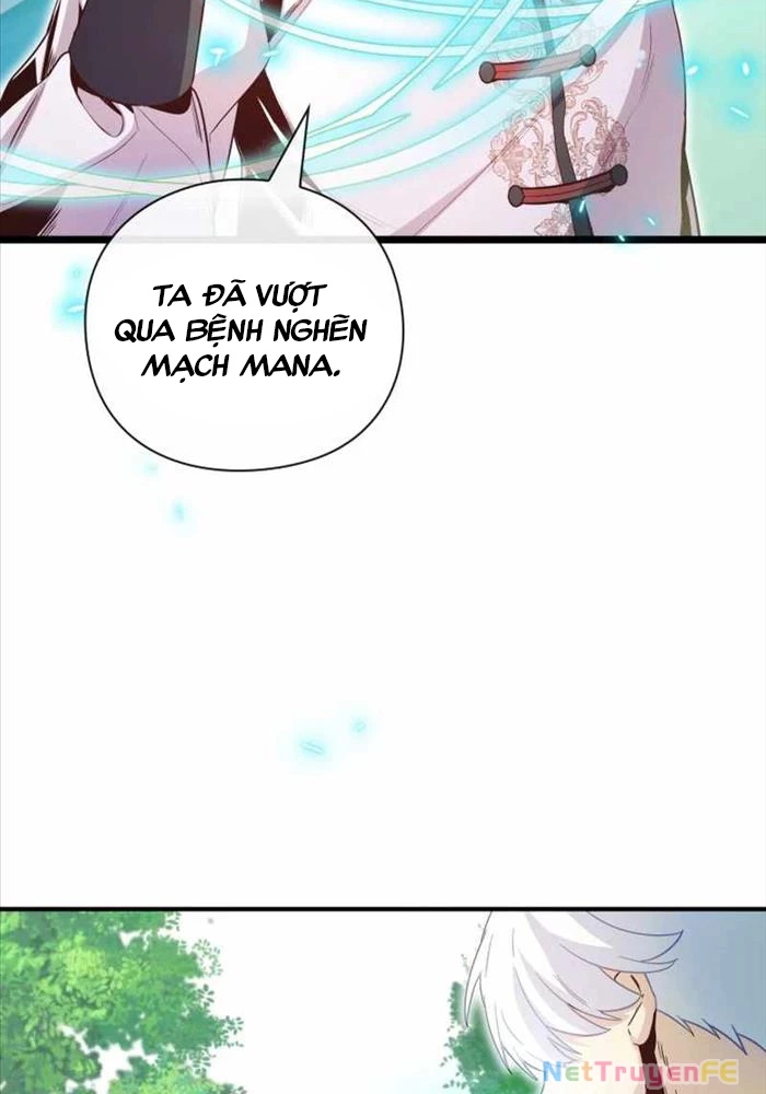 Thiên Tài Phép Thuật Nhà Hầu Tước Chapter 8 - Trang 2