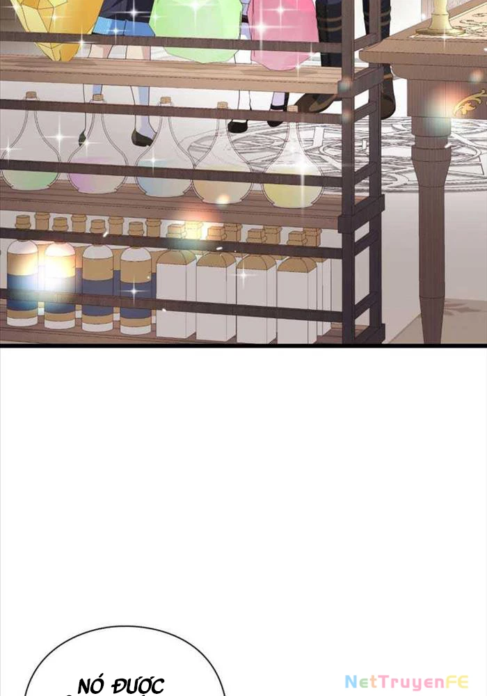 Thiên Tài Phép Thuật Nhà Hầu Tước Chapter 12 - Trang 2