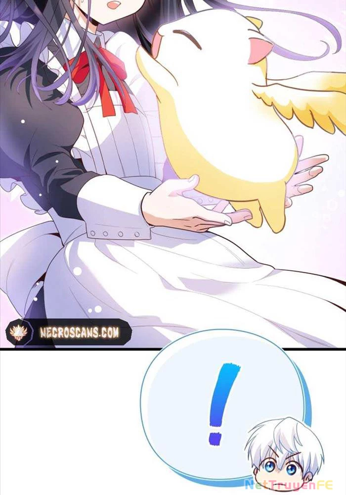 Thiên Tài Phép Thuật Nhà Hầu Tước Chapter 12 - Trang 2