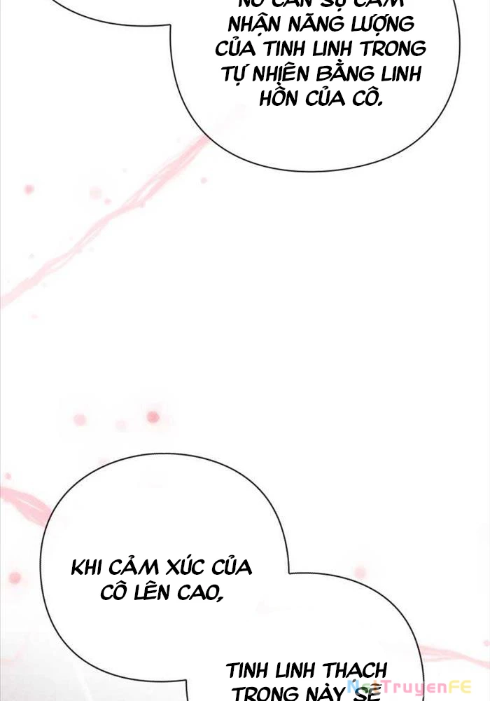 Thiên Tài Phép Thuật Nhà Hầu Tước Chapter 12 - Trang 2