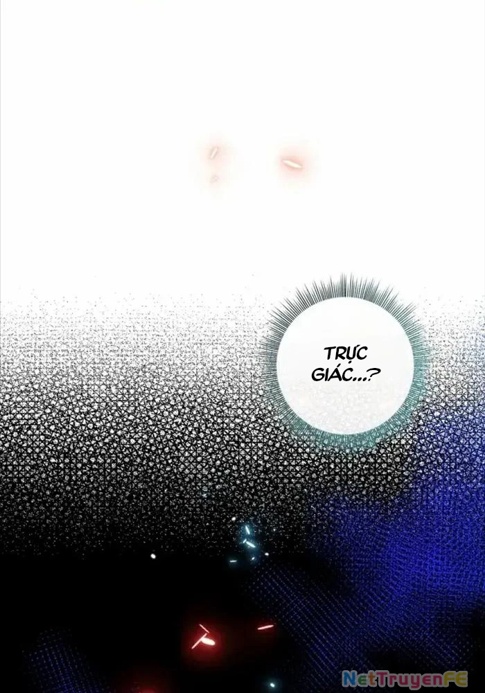 Thiên Tài Phép Thuật Nhà Hầu Tước Chapter 17 - Trang 2