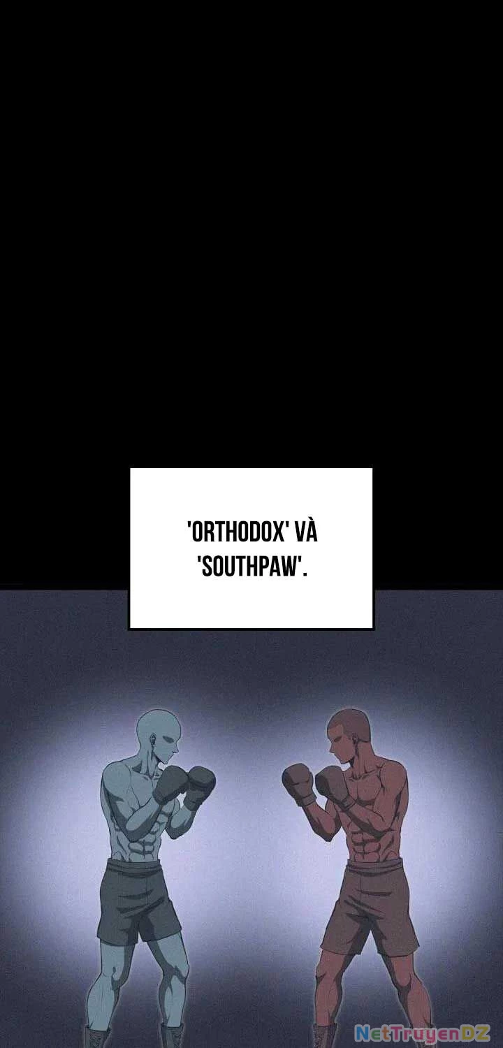 Nhà Vô Địch Kalli Chapter 81 - Trang 4