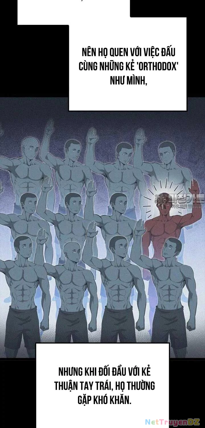 Nhà Vô Địch Kalli Chapter 81 - Trang 4