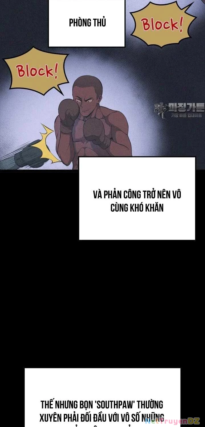 Nhà Vô Địch Kalli Chapter 81 - Trang 4