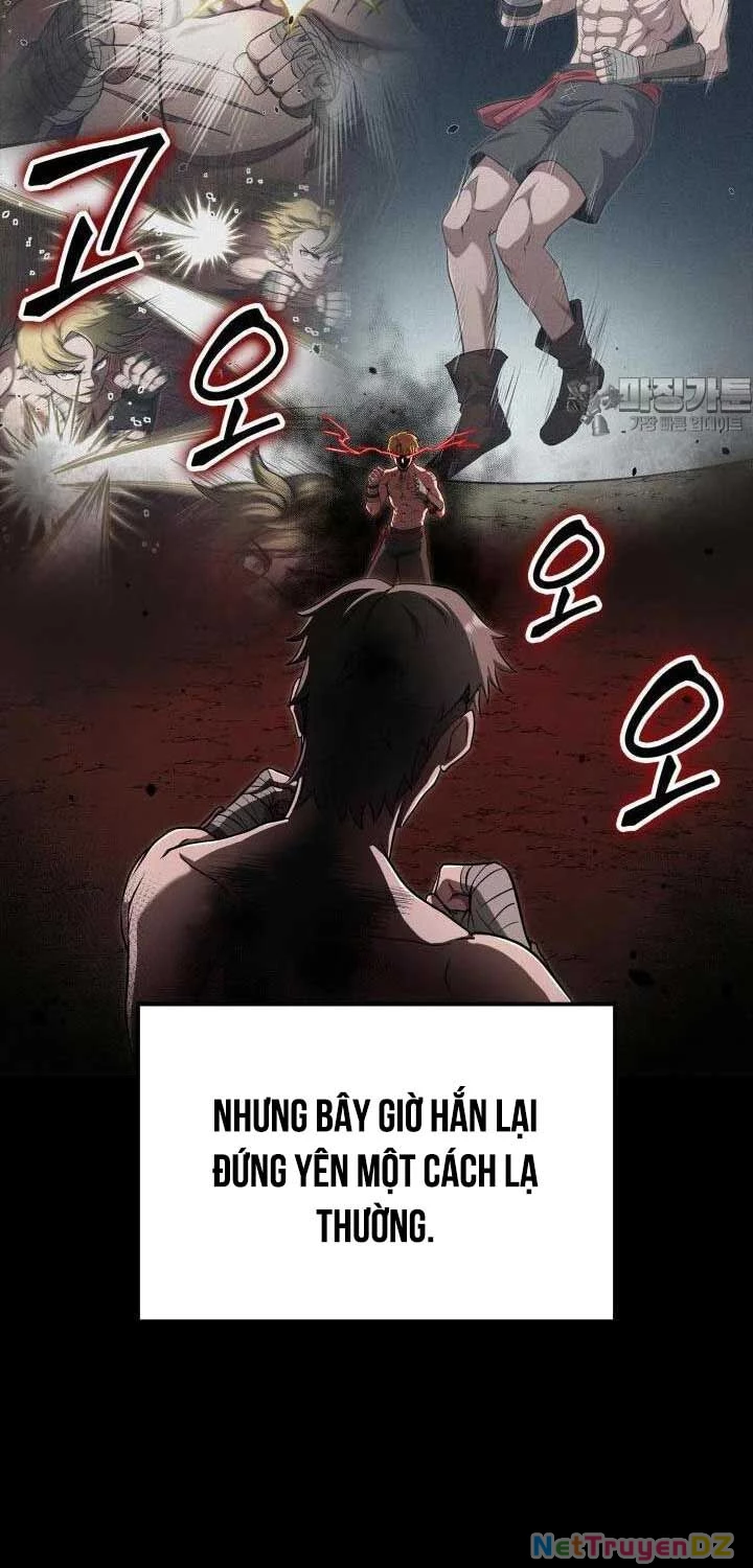 Nhà Vô Địch Kalli Chapter 81 - Trang 4