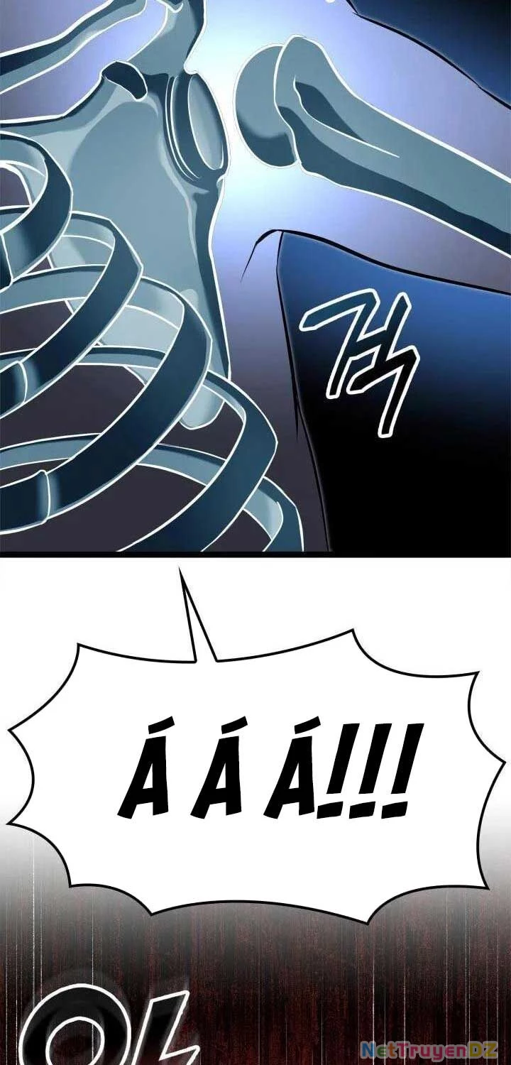 Nhà Vô Địch Kalli Chapter 81 - Trang 4