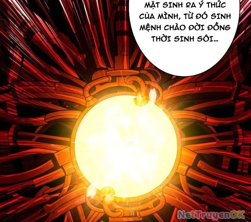 Vừa Chơi Đã Có Tài Khoản Vương Giả Chapter 481 - Trang 4