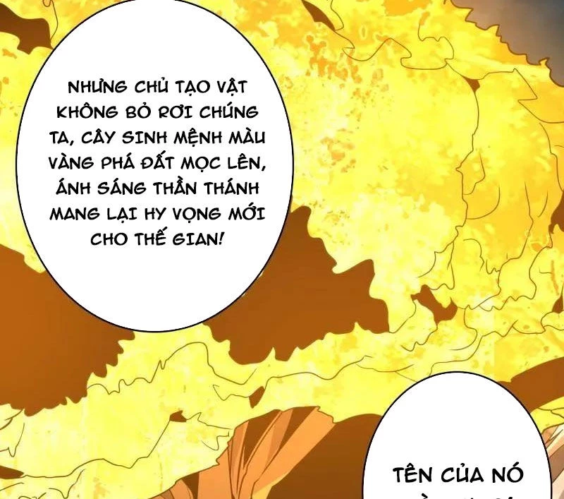 Vừa Chơi Đã Có Tài Khoản Vương Giả Chapter 481 - Trang 4