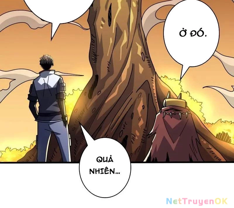 Vừa Chơi Đã Có Tài Khoản Vương Giả Chapter 481 - Trang 4