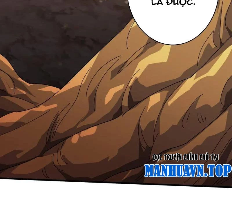 Vừa Chơi Đã Có Tài Khoản Vương Giả Chapter 481 - Trang 4