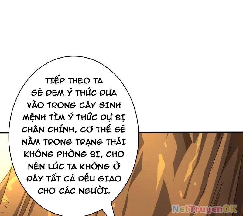 Vừa Chơi Đã Có Tài Khoản Vương Giả Chapter 481 - Trang 4