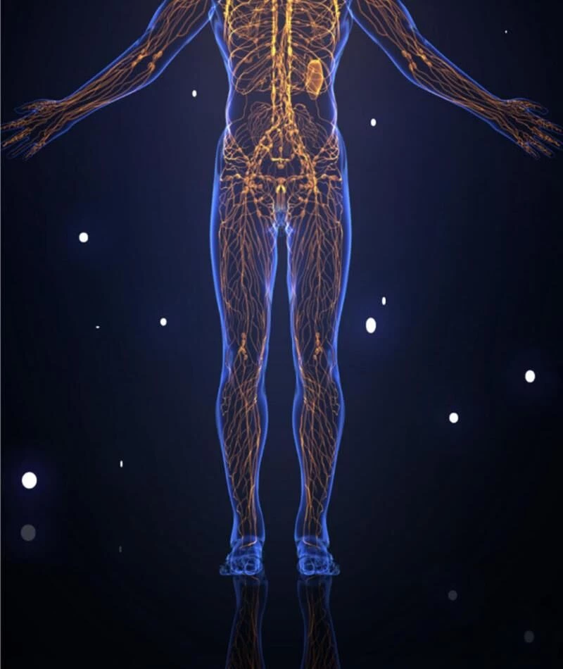 Ta Học Trảm Thần Trong Bệnh Viện Tâm Thần Chapter 122 - Trang 4