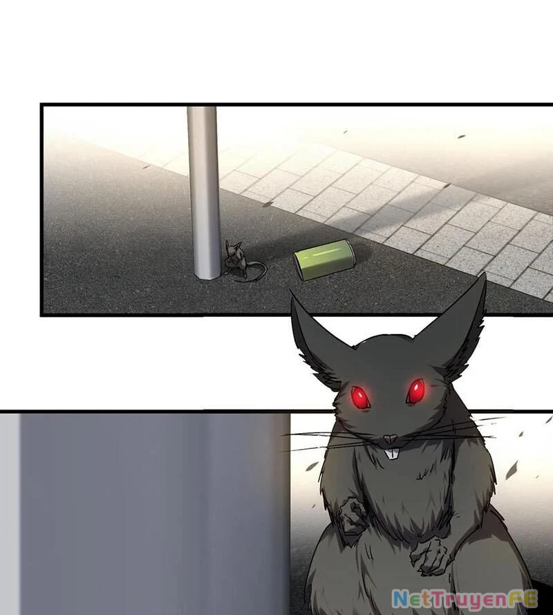 Ta Học Trảm Thần Trong Bệnh Viện Tâm Thần Chapter 135 - Trang 4