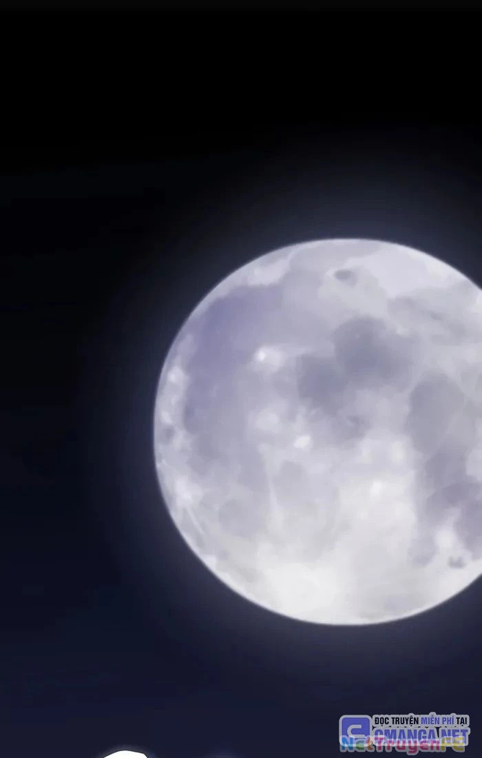 Chế Ngự Kiếm Chapter 115 - Trang 4