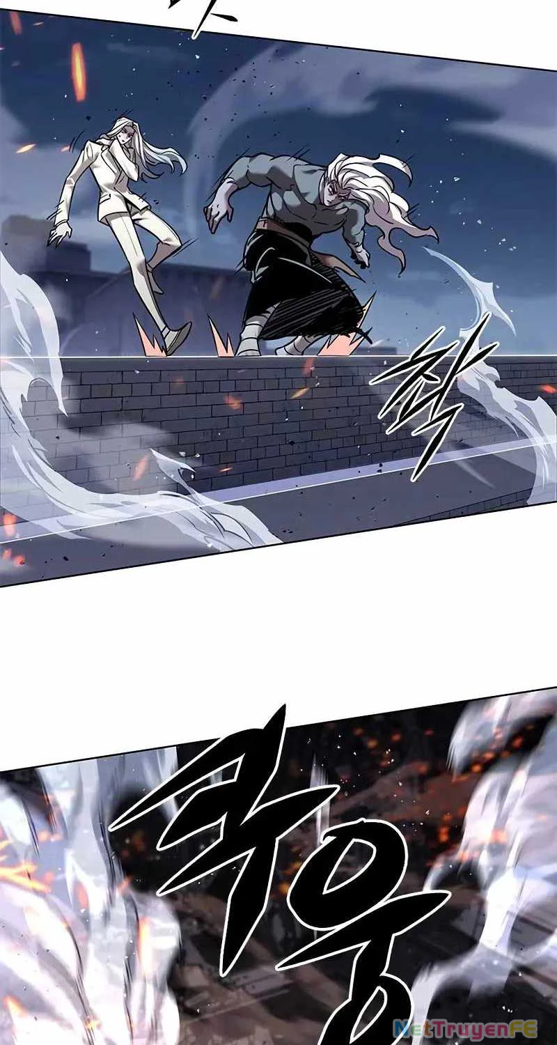 Hoá Thân Thành Mèo Chapter 316 - Trang 2