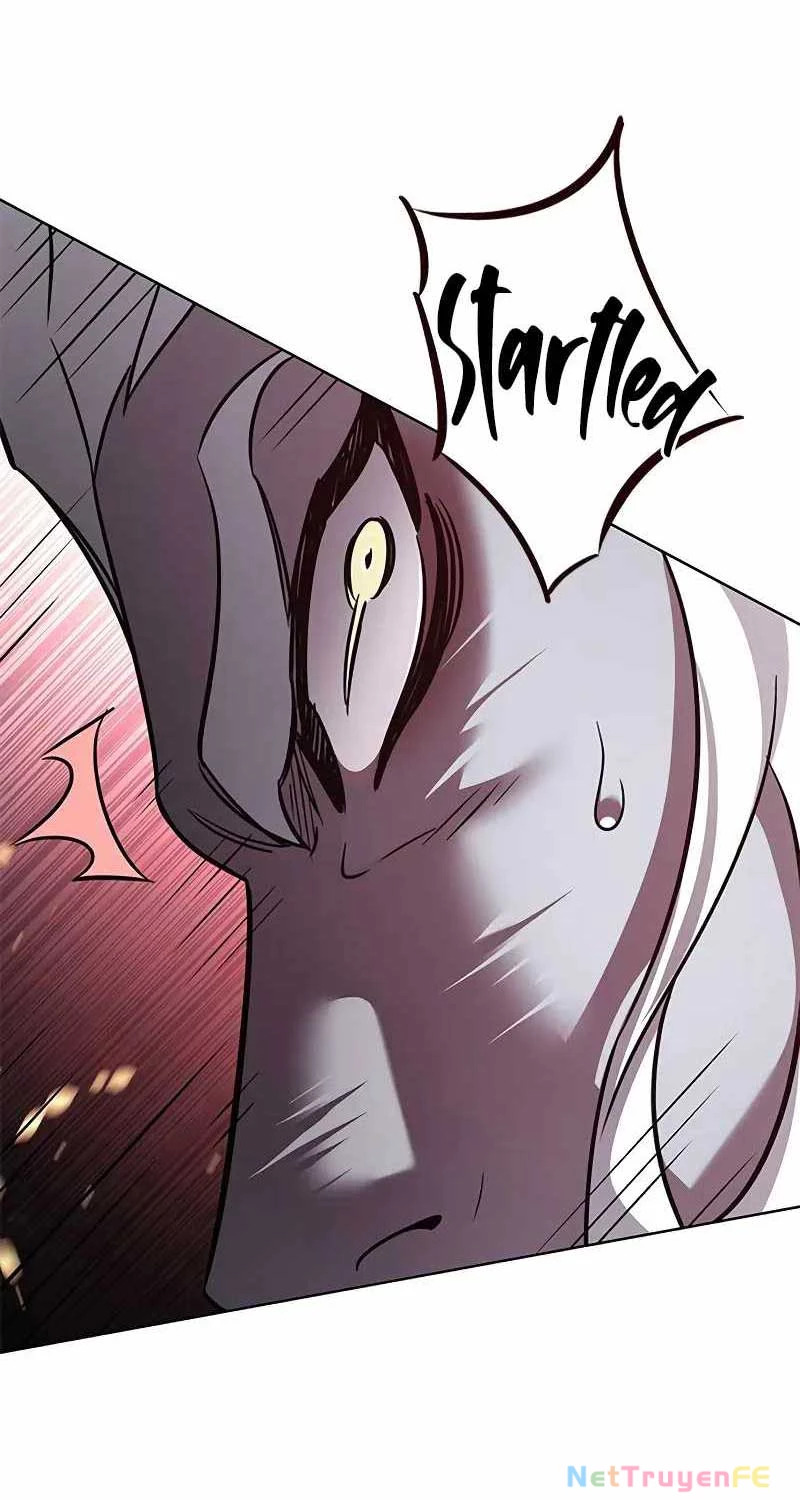 Hoá Thân Thành Mèo Chapter 316 - Trang 2