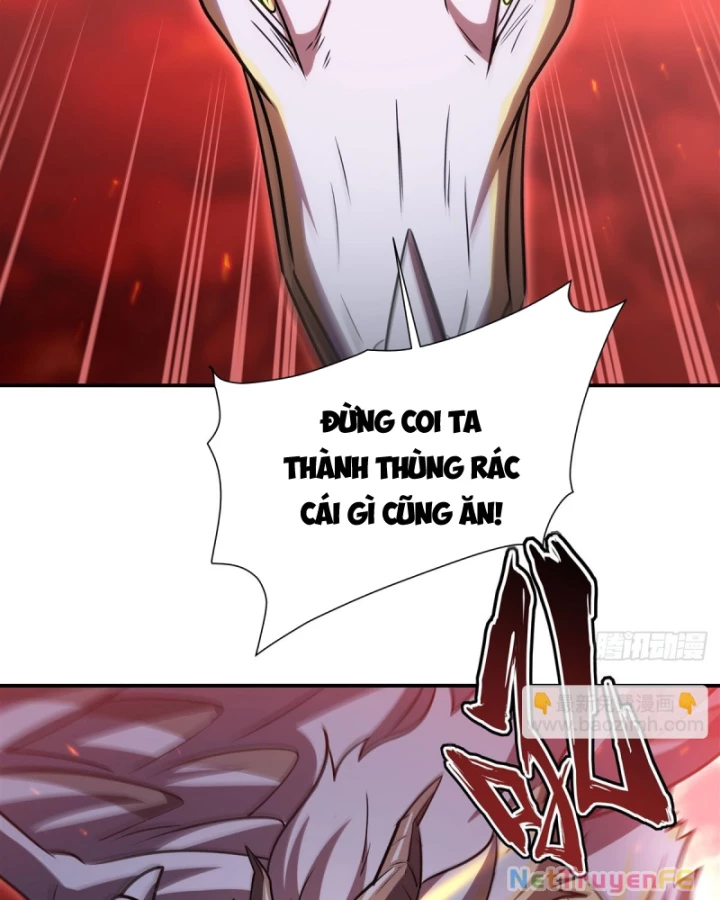 Huyết Cơ Và Kỵ Sĩ Chapter 344 - Trang 4