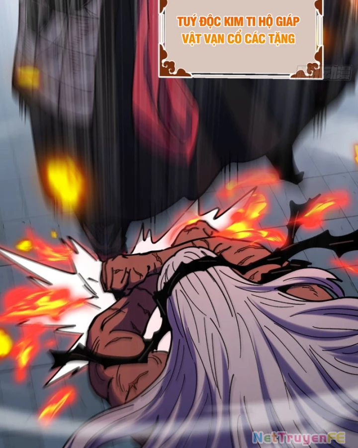 Chưa Từng Ra Tay Nhưng Ta Vẫn Thành Đại Lão Trên Thiên Bảng Chapter 91 - Trang 4