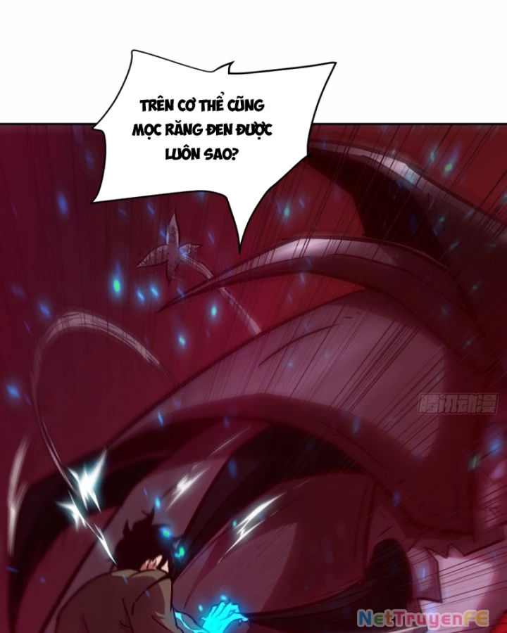 Tay Trái Của Ta Có Thể Dị Biến Chapter 13 - Trang 2