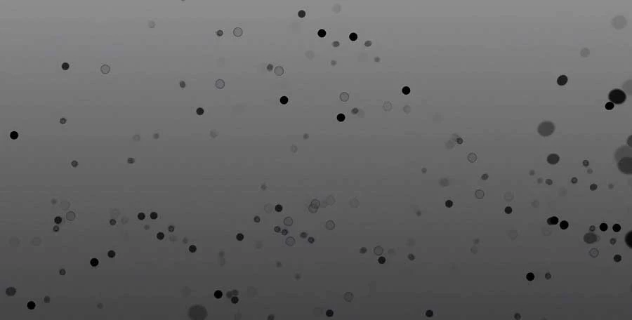 Anh Trai Anh Hùng Là Người Đã Chết Trong Học Viện Chapter 91 - Trang 4