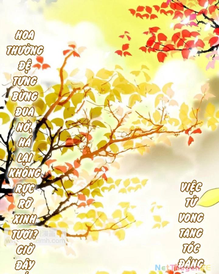 Xuân Thu Bá Đồ Chapter 302 - Trang 4