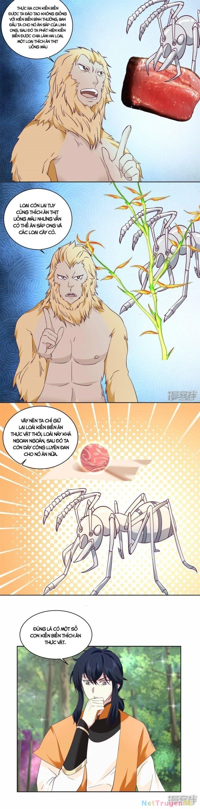 Hỗn Độn Đan Thần Chapter 346 - Trang 2