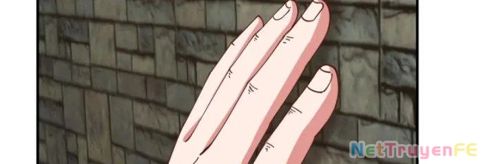 Hỗn Độn Đan Thần Chapter 358 - Next Chapter 359