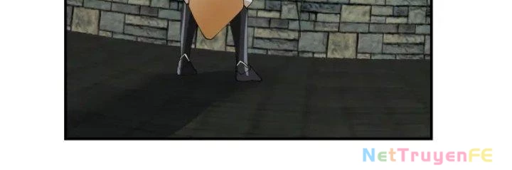 Hỗn Độn Đan Thần Chapter 358 - Next Chapter 359