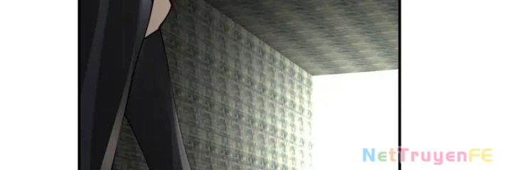 Hỗn Độn Đan Thần Chapter 358 - Next Chapter 359