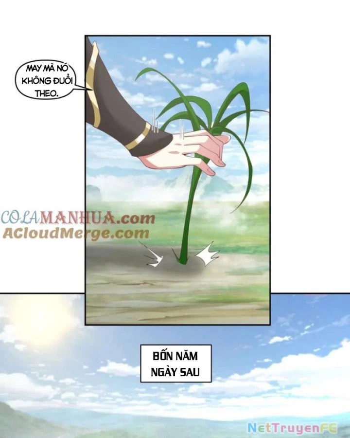 Hỗn Độn Đan Thần Chapter 388 - Next Chapter 389