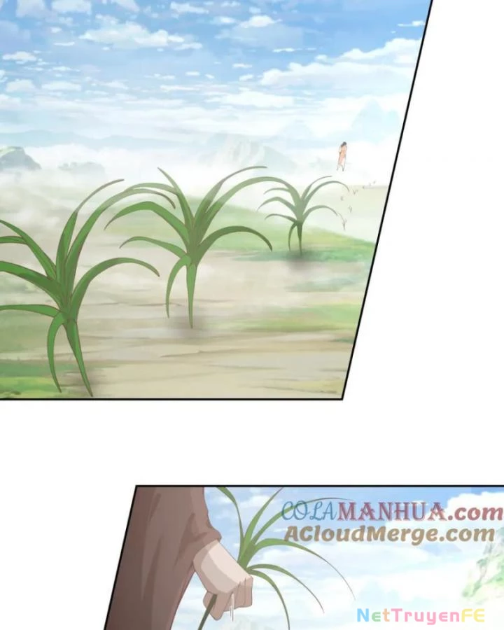 Hỗn Độn Đan Thần Chapter 388 - Next Chapter 389