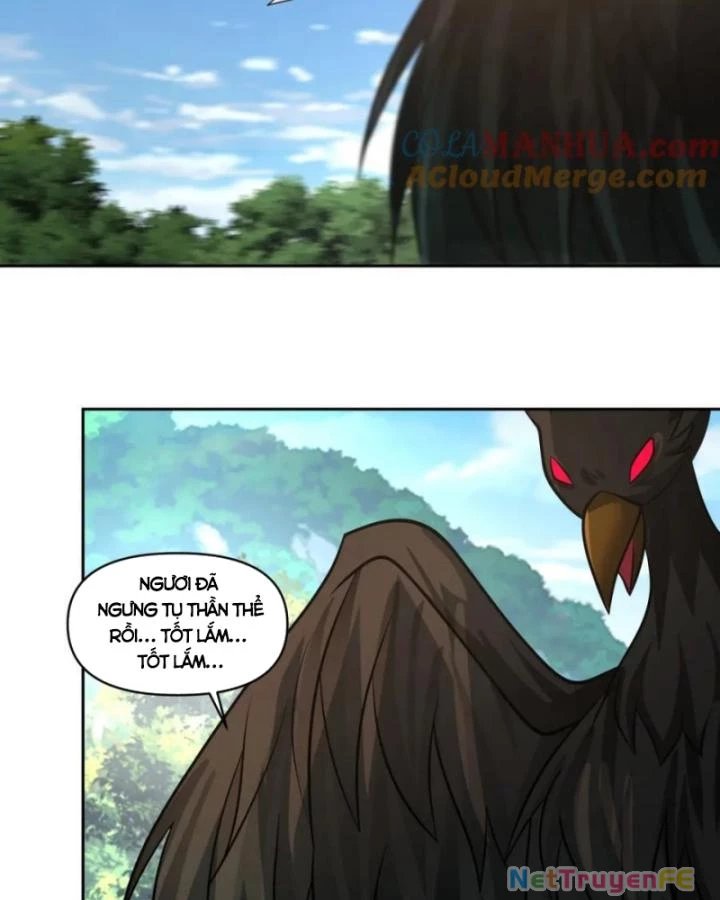 Hỗn Độn Đan Thần Chapter 390 - Trang 2