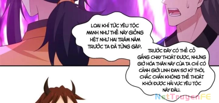 Hỗn Độn Đan Thần Chapter 395 - Trang 2