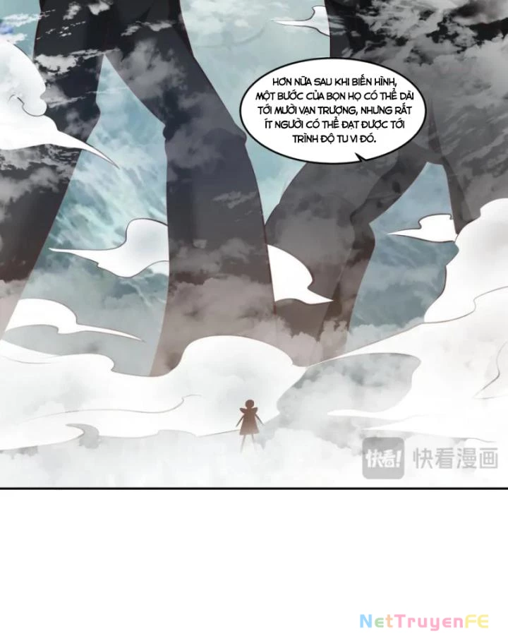 Hỗn Độn Đan Thần Chapter 396 - Trang 2