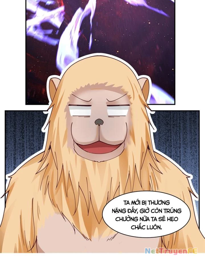 Hỗn Độn Đan Thần Chapter 404 - Next Chapter 405