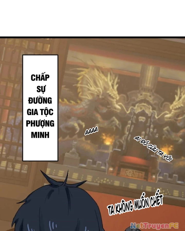 Hỗn Độn Đan Thần Chapter 515 - Trang 3